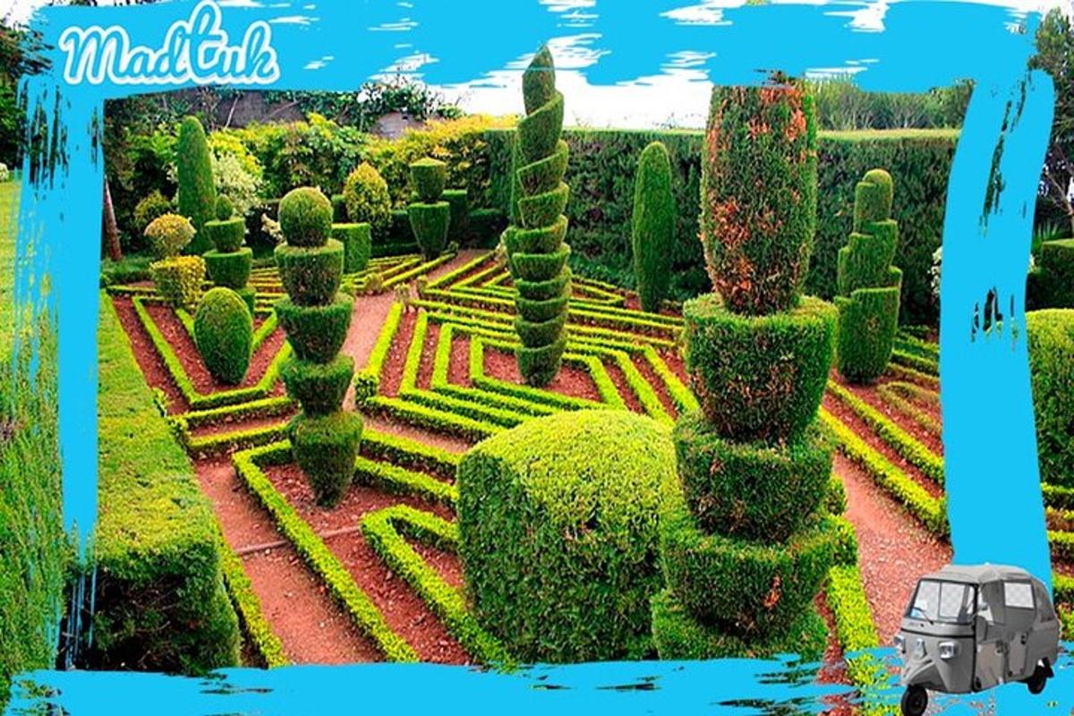 um jardim com um carro no meio