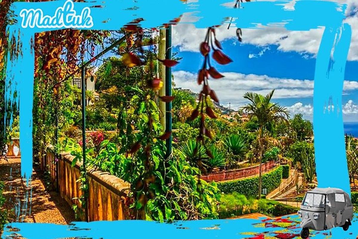 uma foto de um jardim com um carro dentro