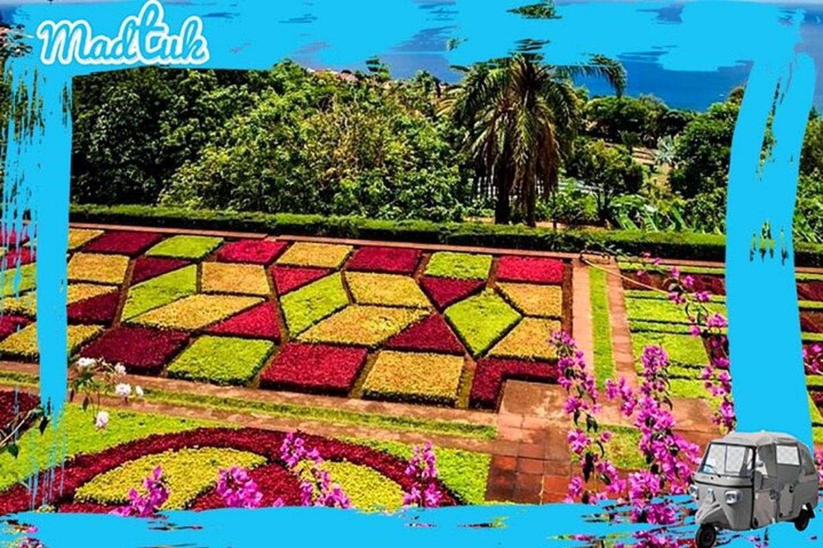 um carro estacionado em frente a um jardim com flores
