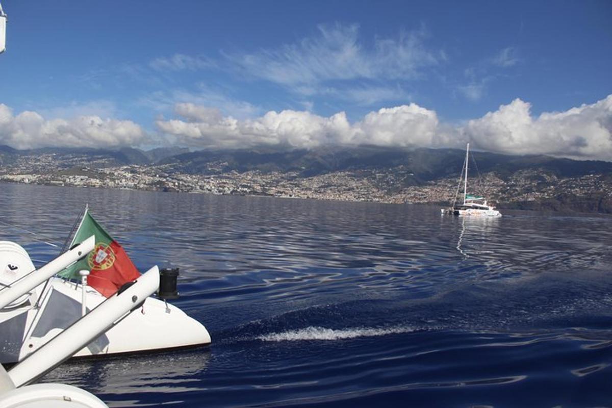 una barca in acqua con una città sullo sfondo