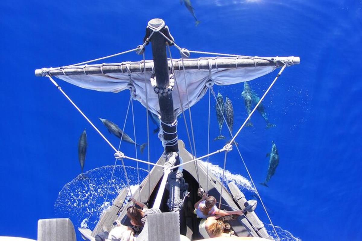a group of people on a boat with a group of fish