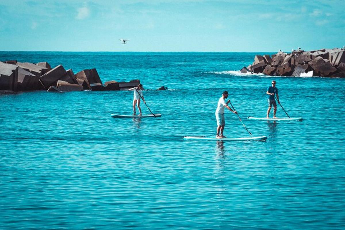 tři lidé na paddleboardech ve vodě