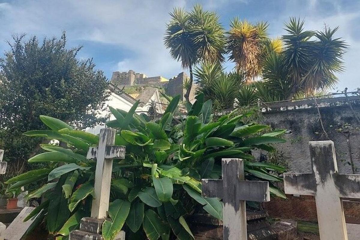 a cross in front of a cemetery with palm trees