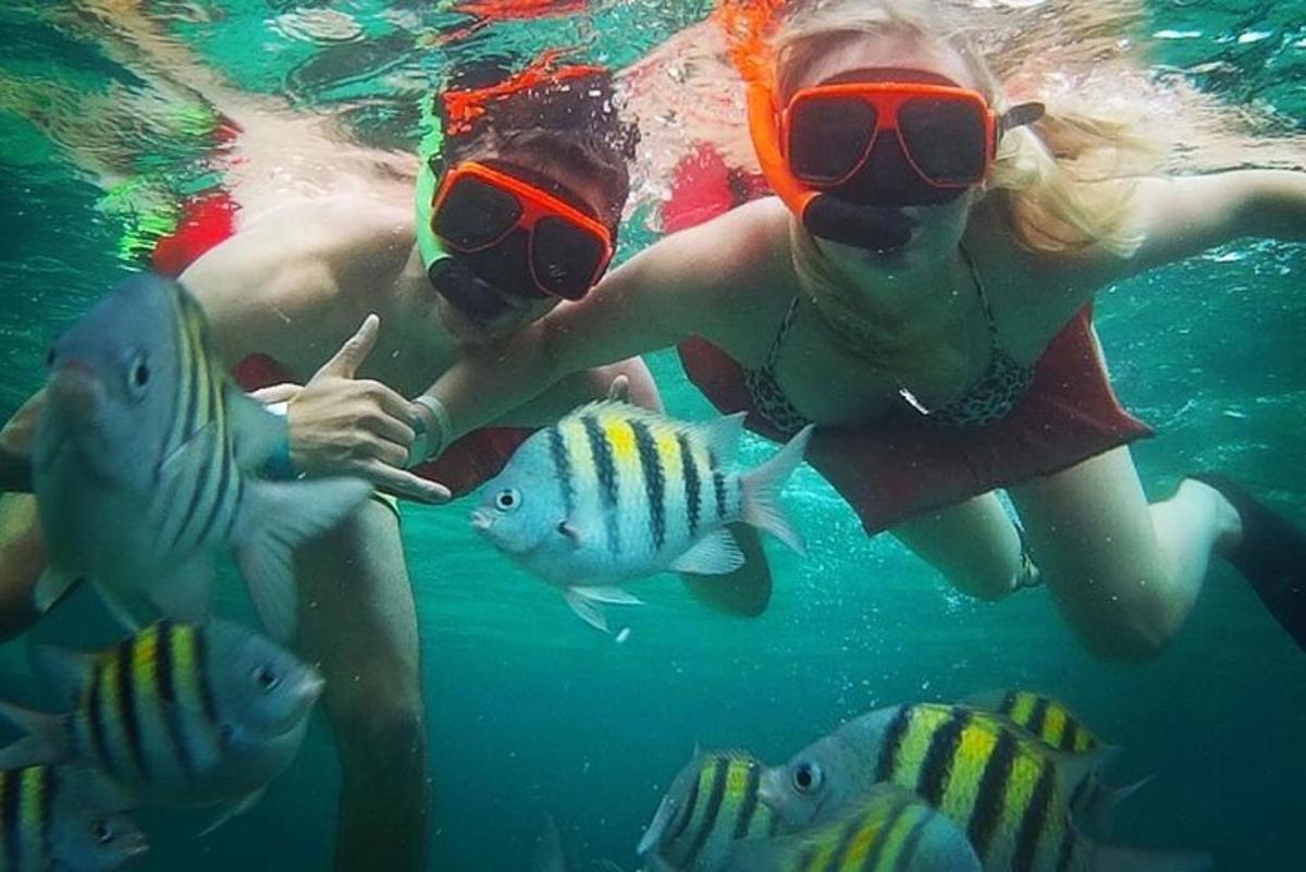 Un grupo de personas en el agua con peces.