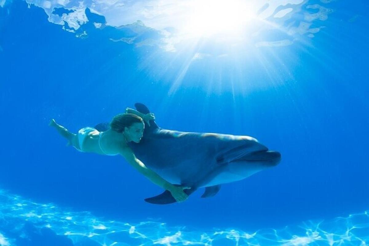 uma mulher cavalgando um golfinho na água