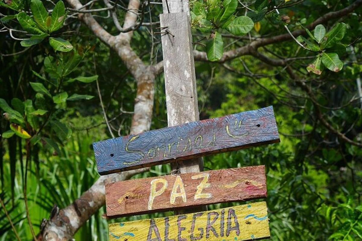 a sign on a pole in front of a tree