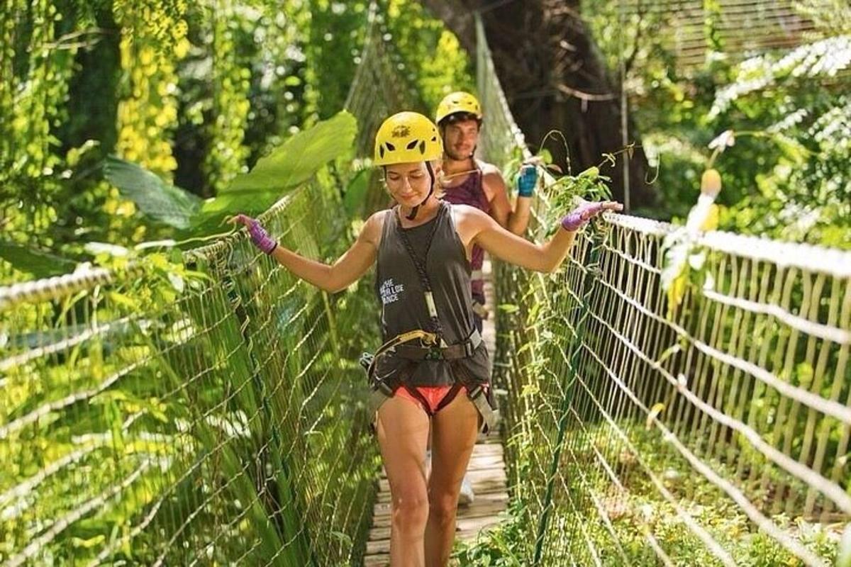 hai người trên một cây cầu treo trong rừng