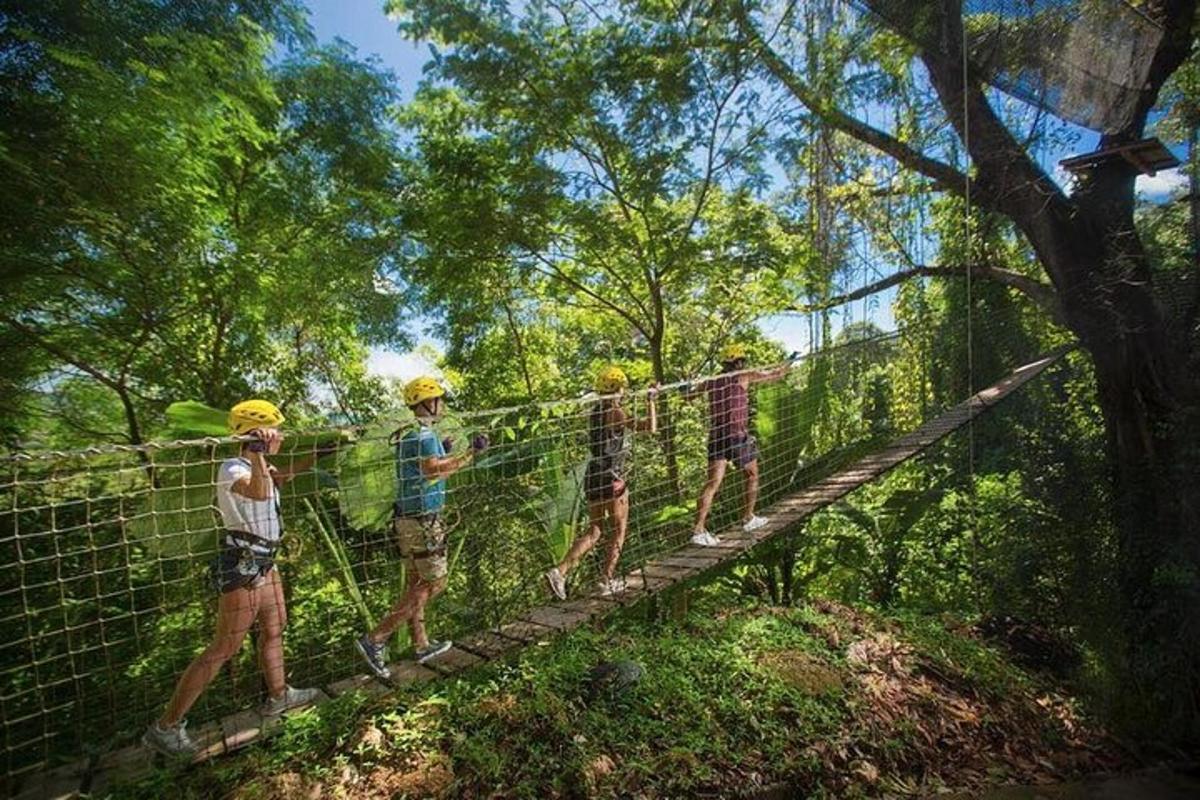 một nhóm người trên cầu treo trong rừng
