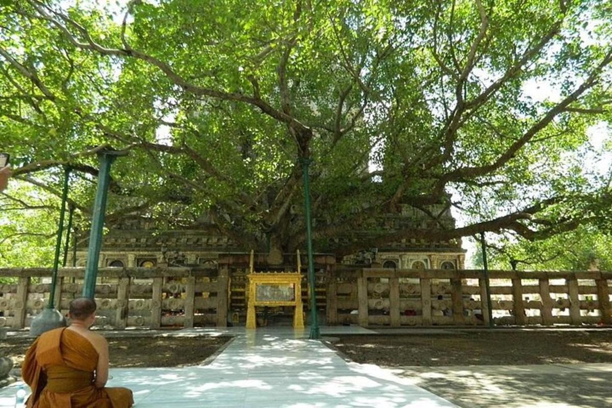 un home amb túnica taronja agenollat davant d'un arbre