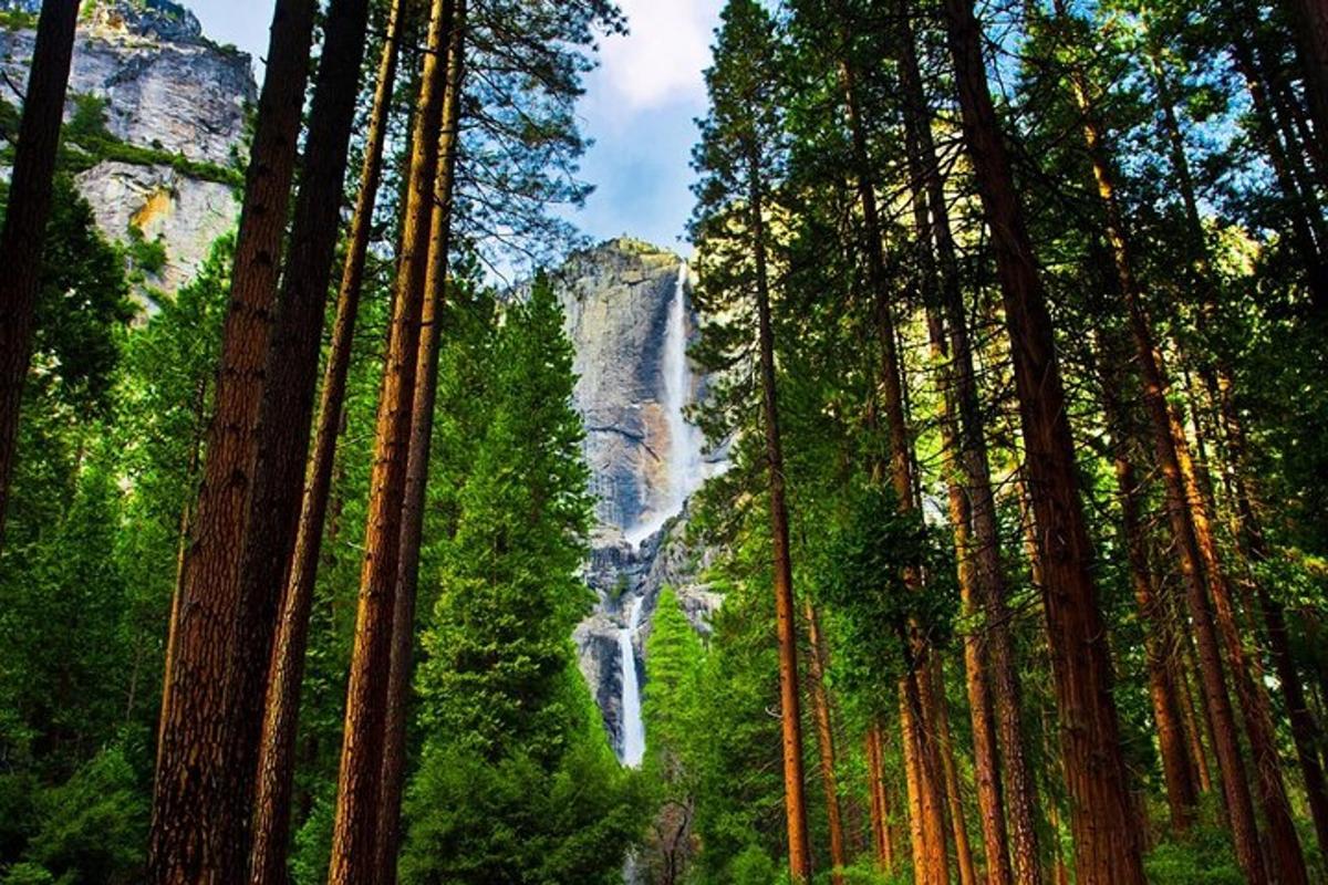 a waterfall is seen through a forest of trees