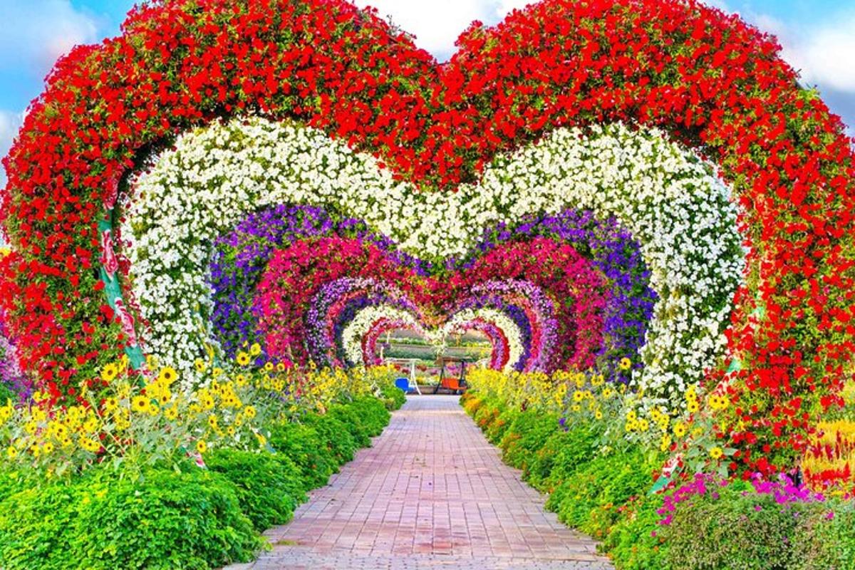 Attraction picture 3