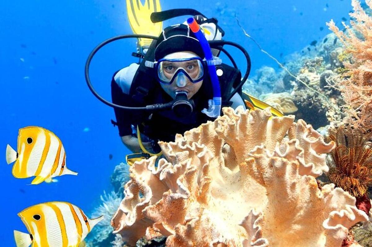 seorang yang memakai pakaian selam dan seorang penyelam di lautan