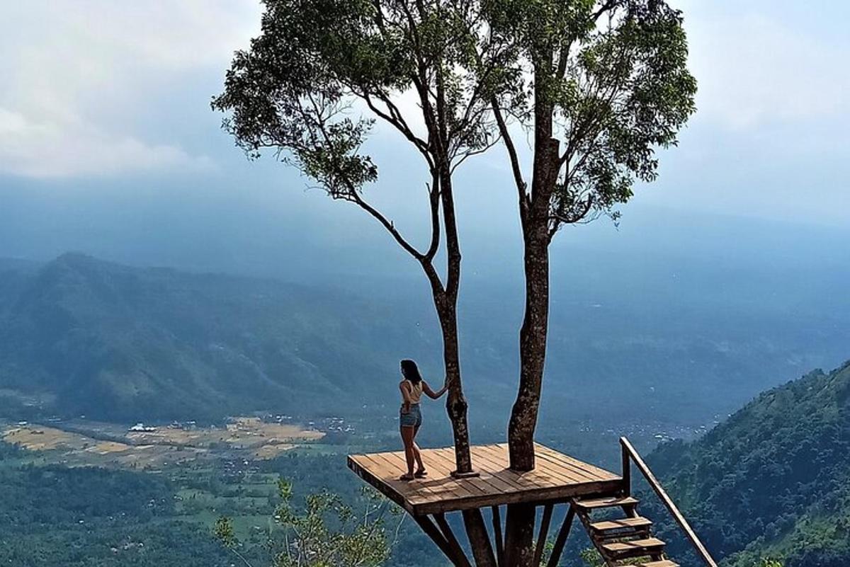 một người phụ nữ đứng trên một bục gỗ bên cạnh một cái cây