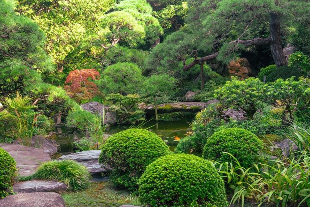 un giardino con uno stagno, alberi e cespugli
