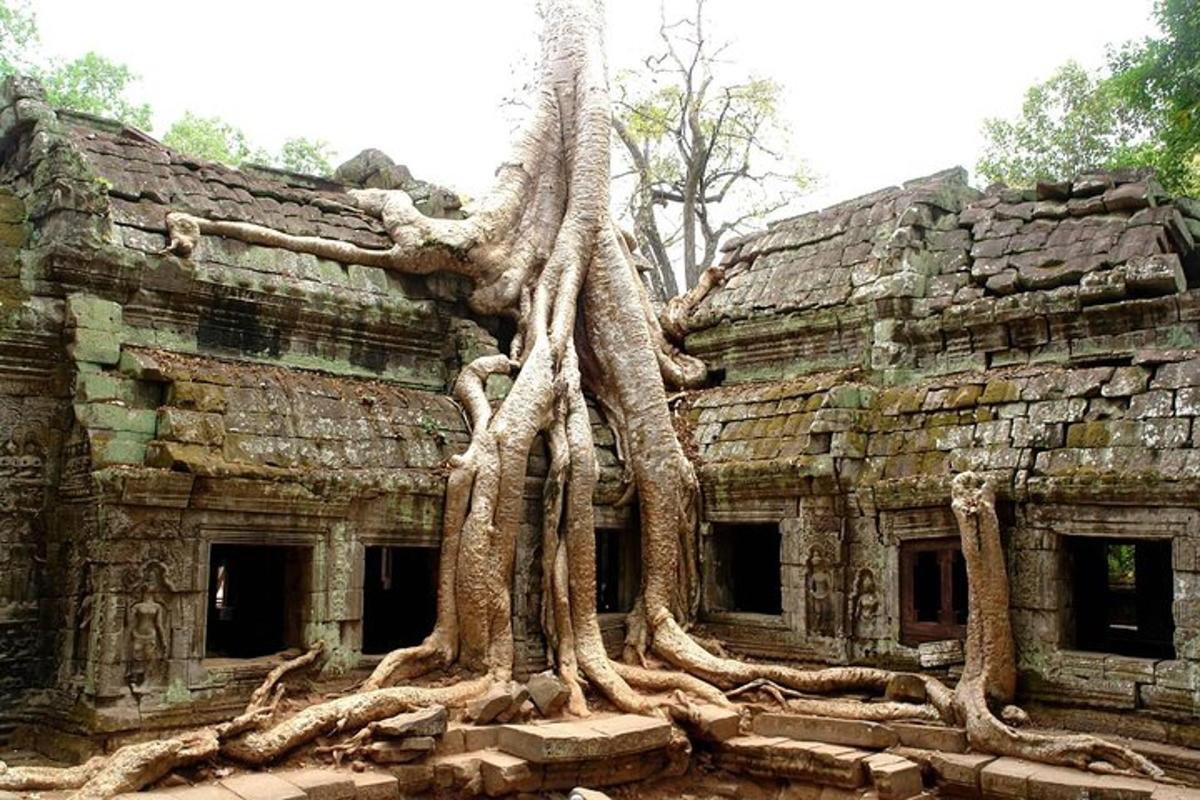 مبنى به أشجار تنمو على جانبه