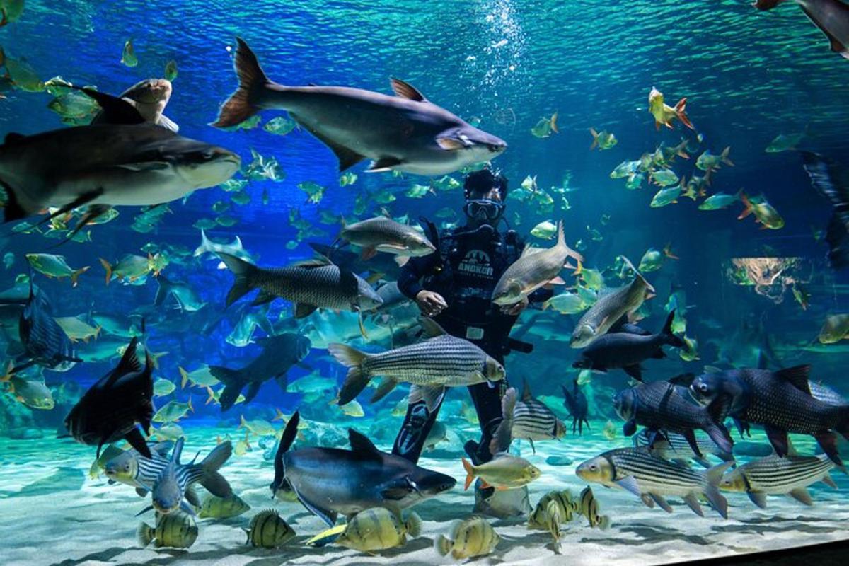 a man in an aquarium with a large group of fish