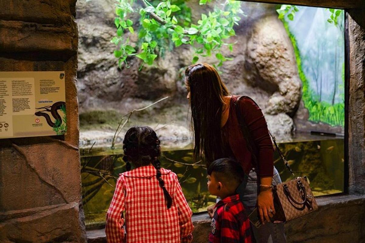 a woman and two children looking at an aquarium