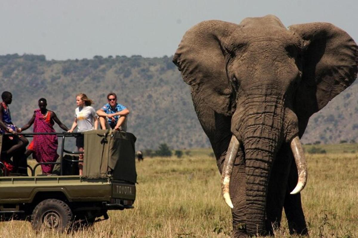 a group of people riding in the back of a safari truck
