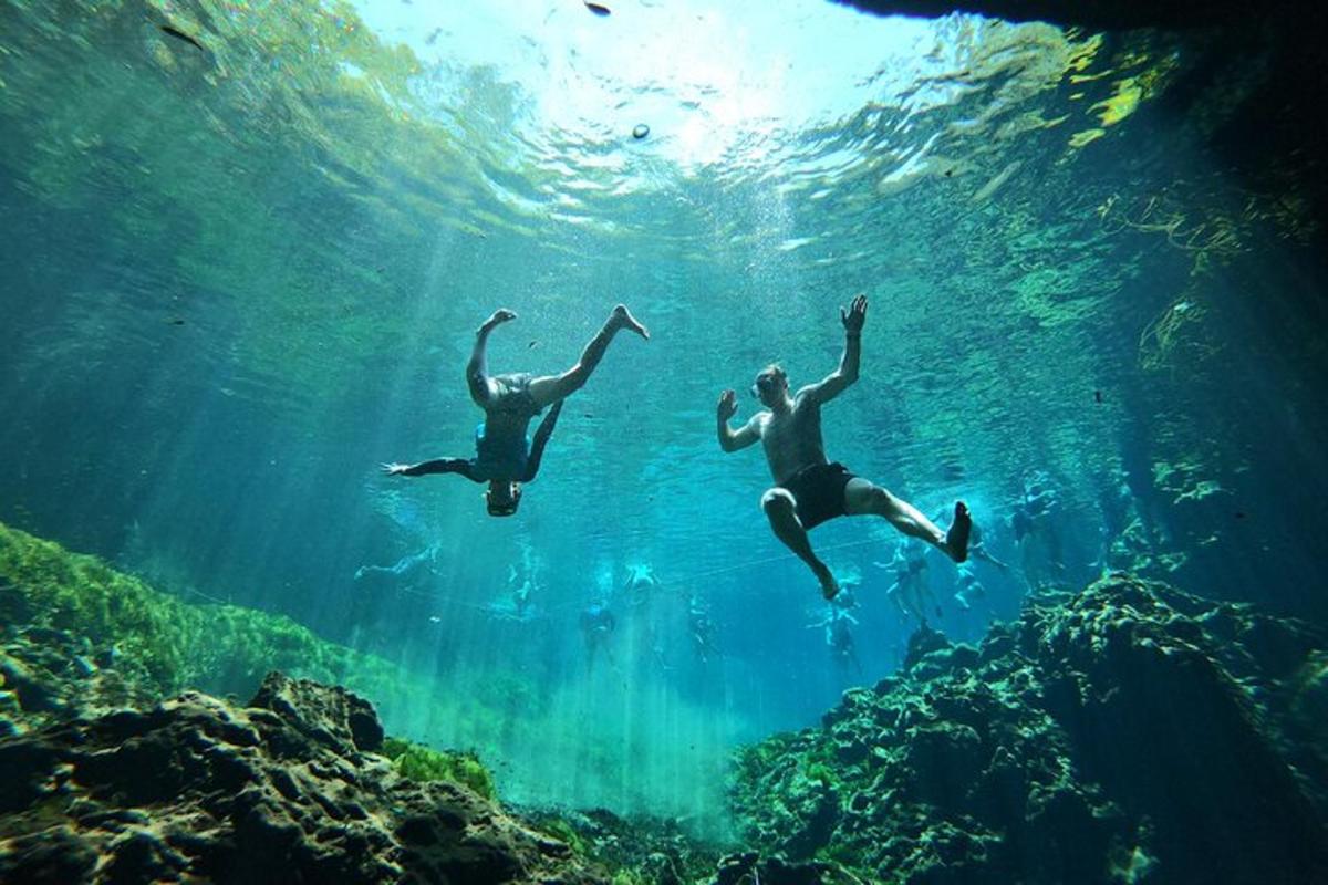 due persone che nuotano nell'acqua dell'oceano