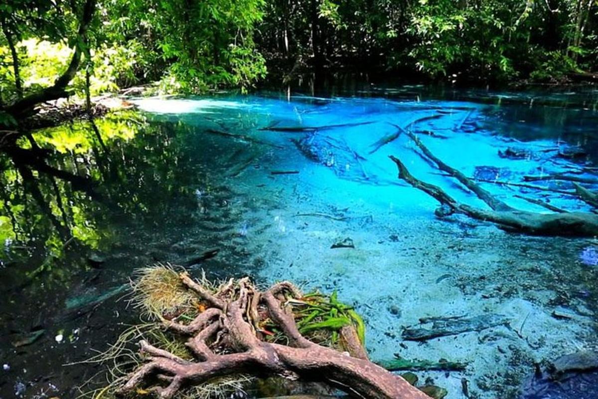 sungai dengan air biru dan beberapa pokok dan dahan