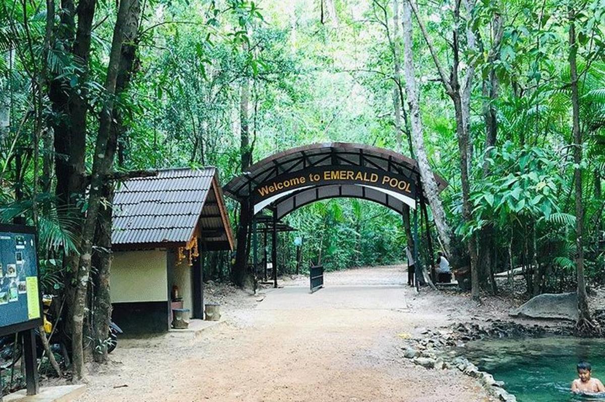 jambatan di tengah-tengah hutan dengan badan air