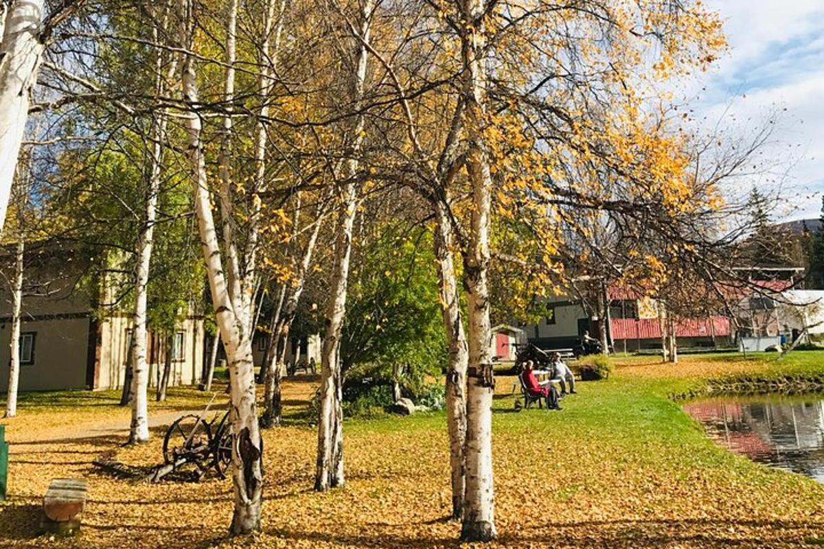 група дерев у парку біля ставка