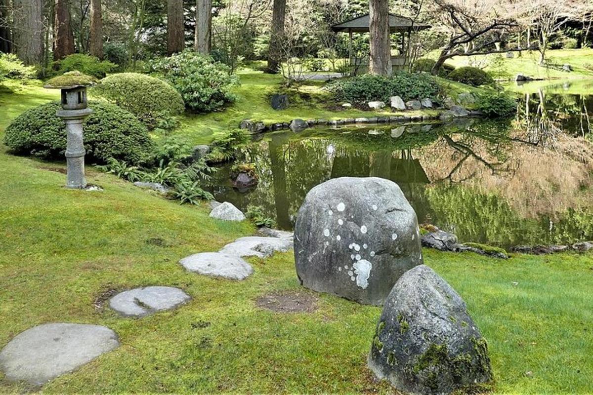un jardí amb una roca i un estany