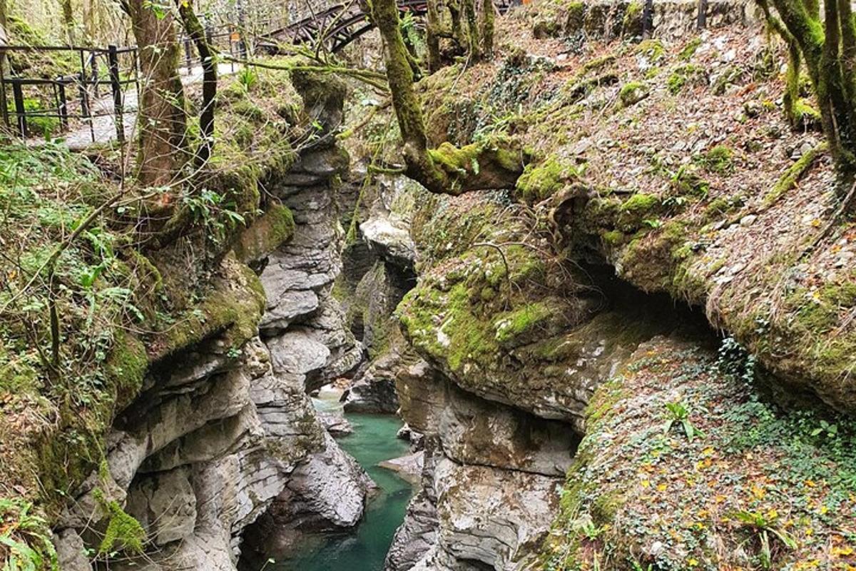 un fiume in mezzo a una montagna con alberi