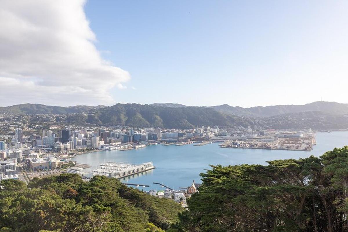 uma vista de um grande corpo de água com uma cidade