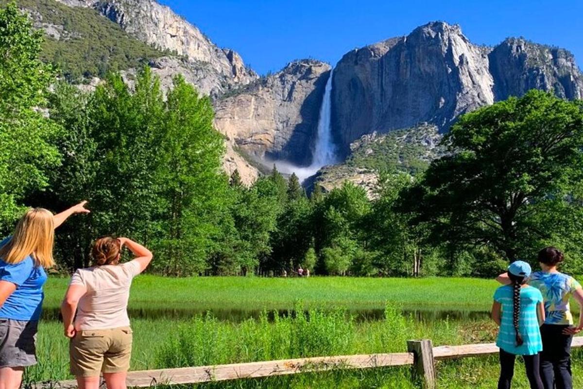 un gruppo di persone in piedi in un campo che guarda una cascata