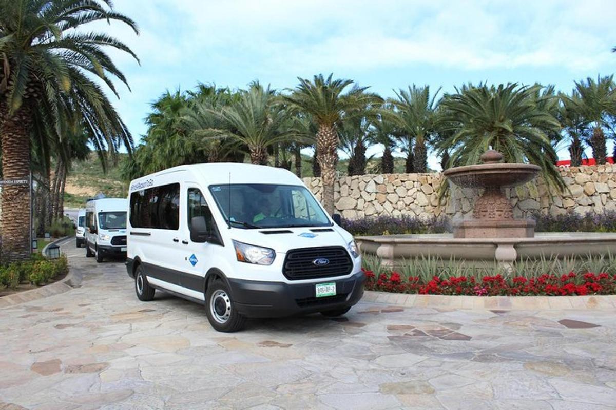 Dos camionetas blancas estacionadas en un estacionamiento con palmeras
