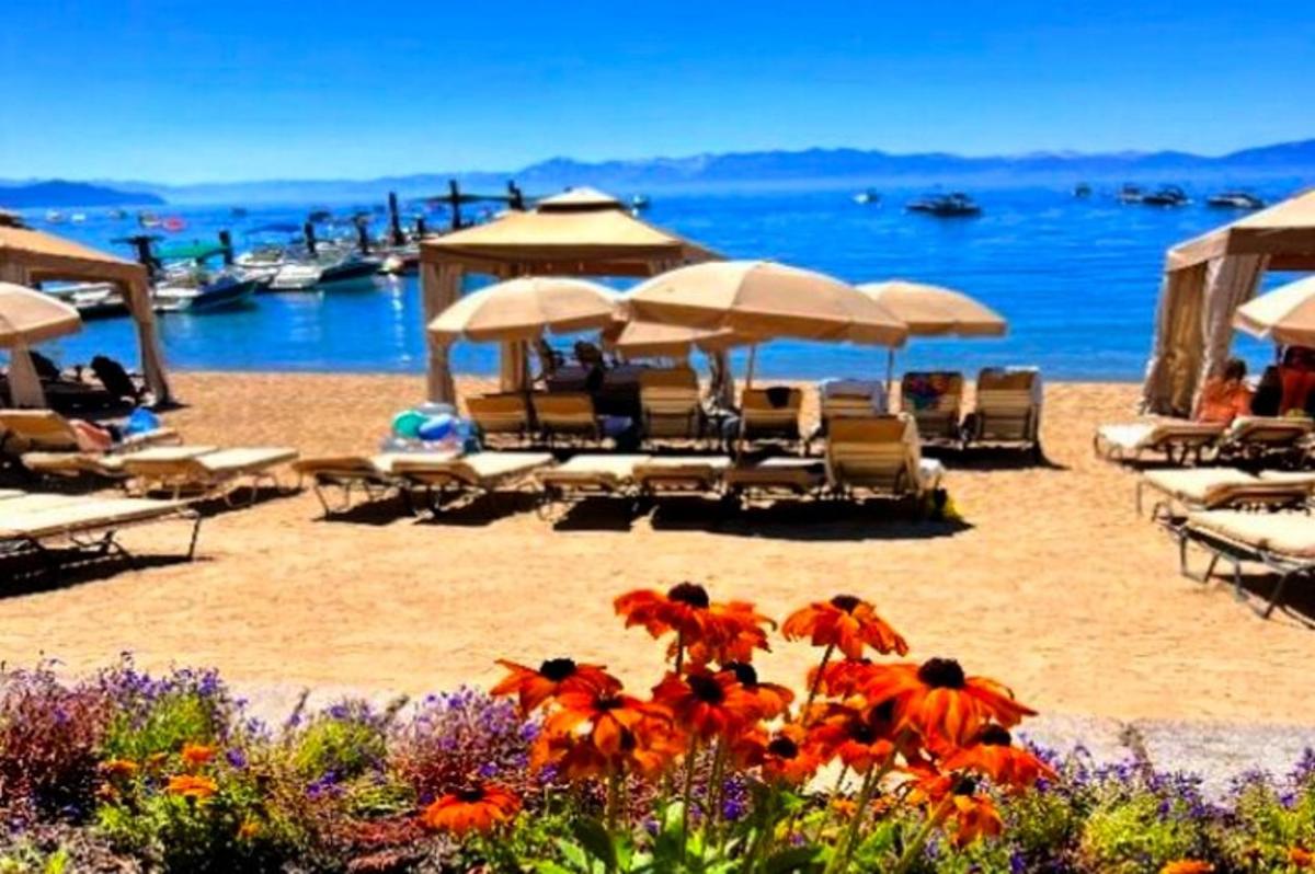 a beach with chairs and umbrellas and the ocean