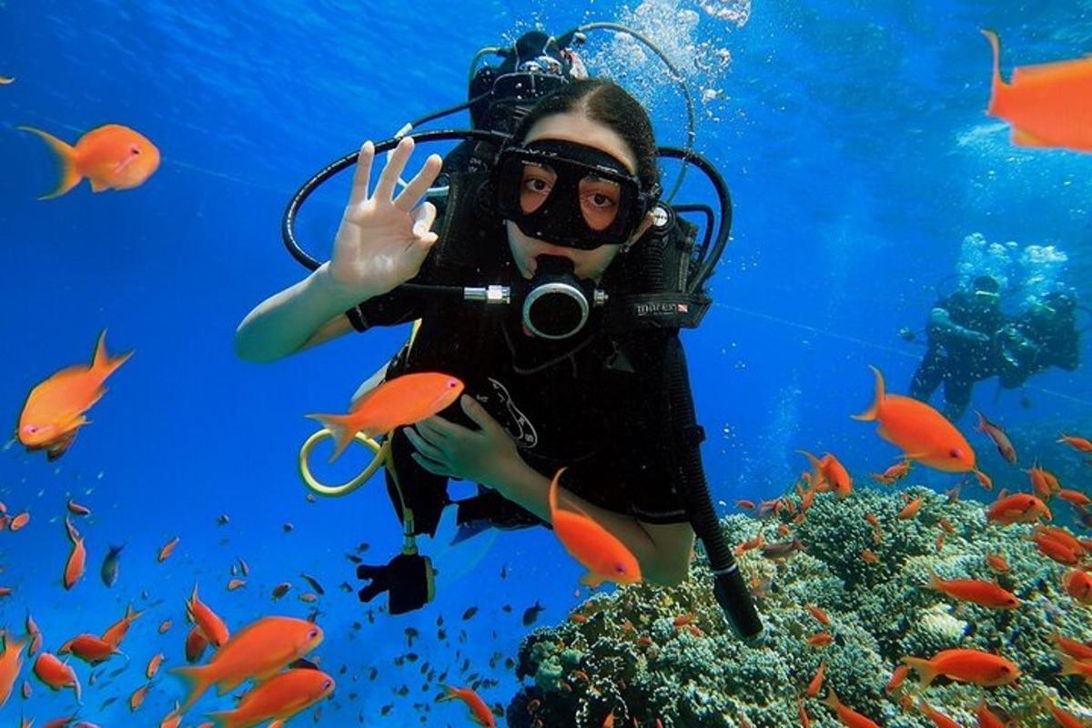 una donna sott'acqua con una macchina fotografica e un pesce