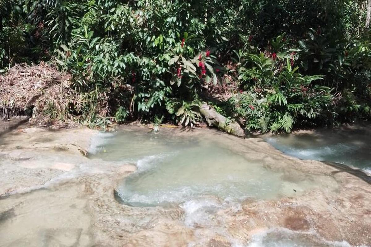una piscina di acqua calda sul terreno con alberi