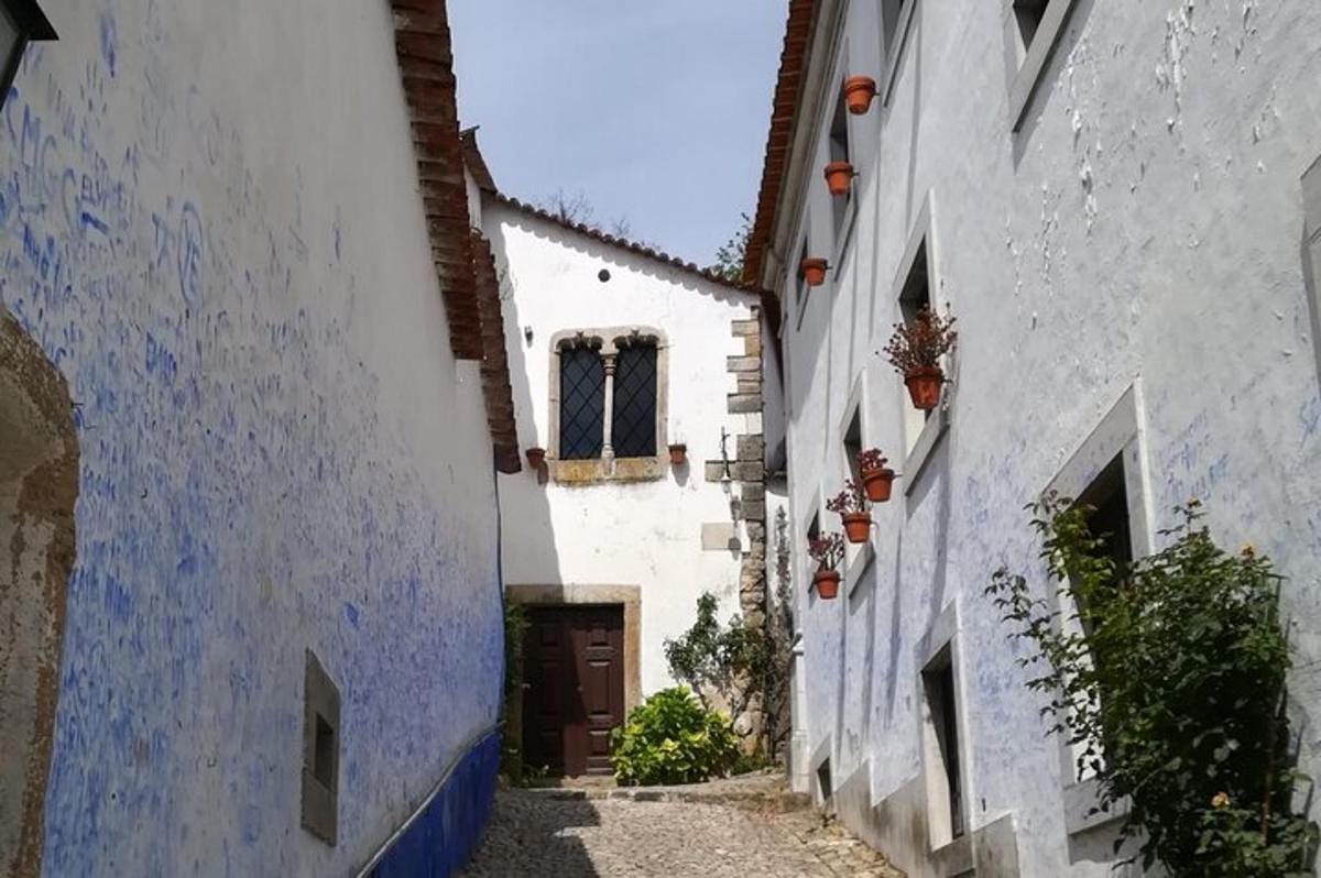 un vicolo con edifici blu e bianchi e una porta