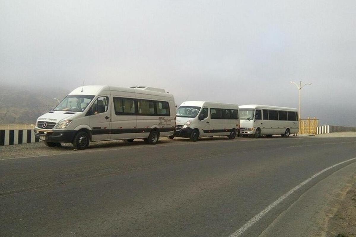 tres autobusos blancs aparcats a la vora d'una carretera