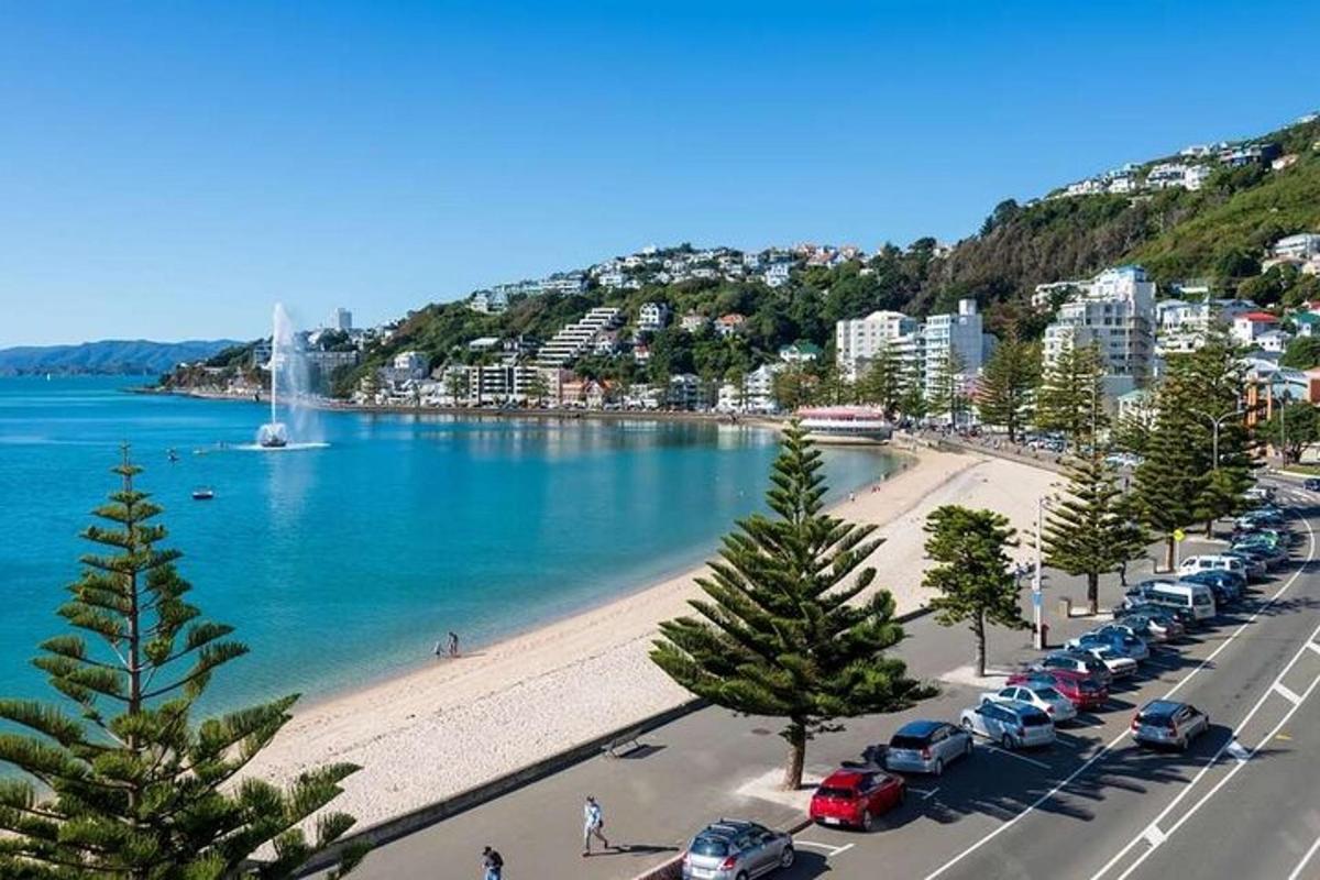 una spiaggia con un mucchio di macchine parcheggiate vicino all'acqua