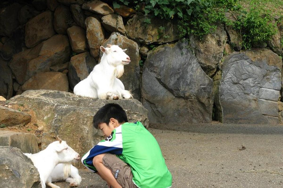 7枚目の観光スポット・アクティビティの写真