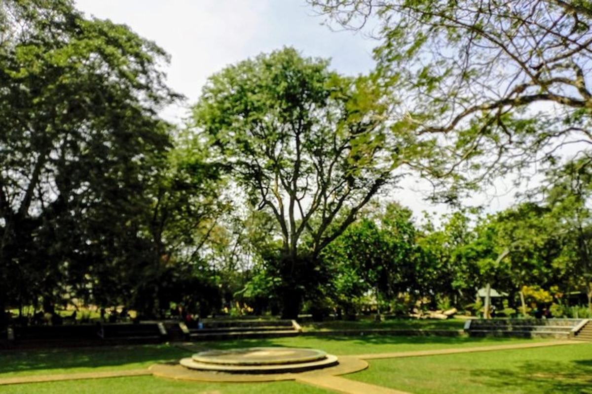 park puude ja murul oleva kujuga