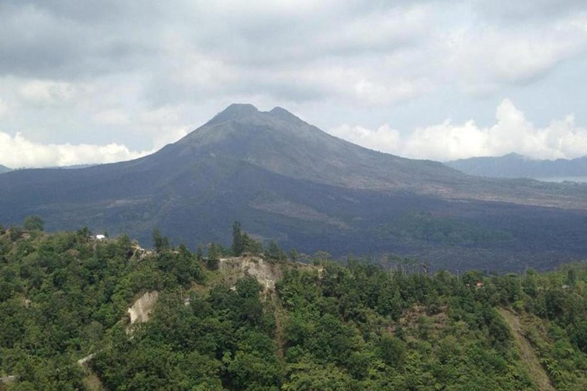a mountain on top of a hill with trees