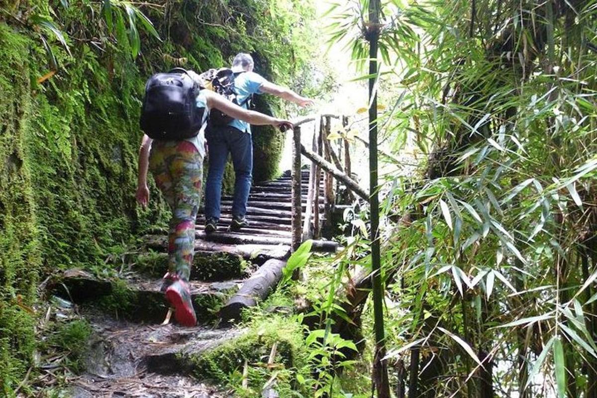 dua orang berjalan menaiki tangga di hutan