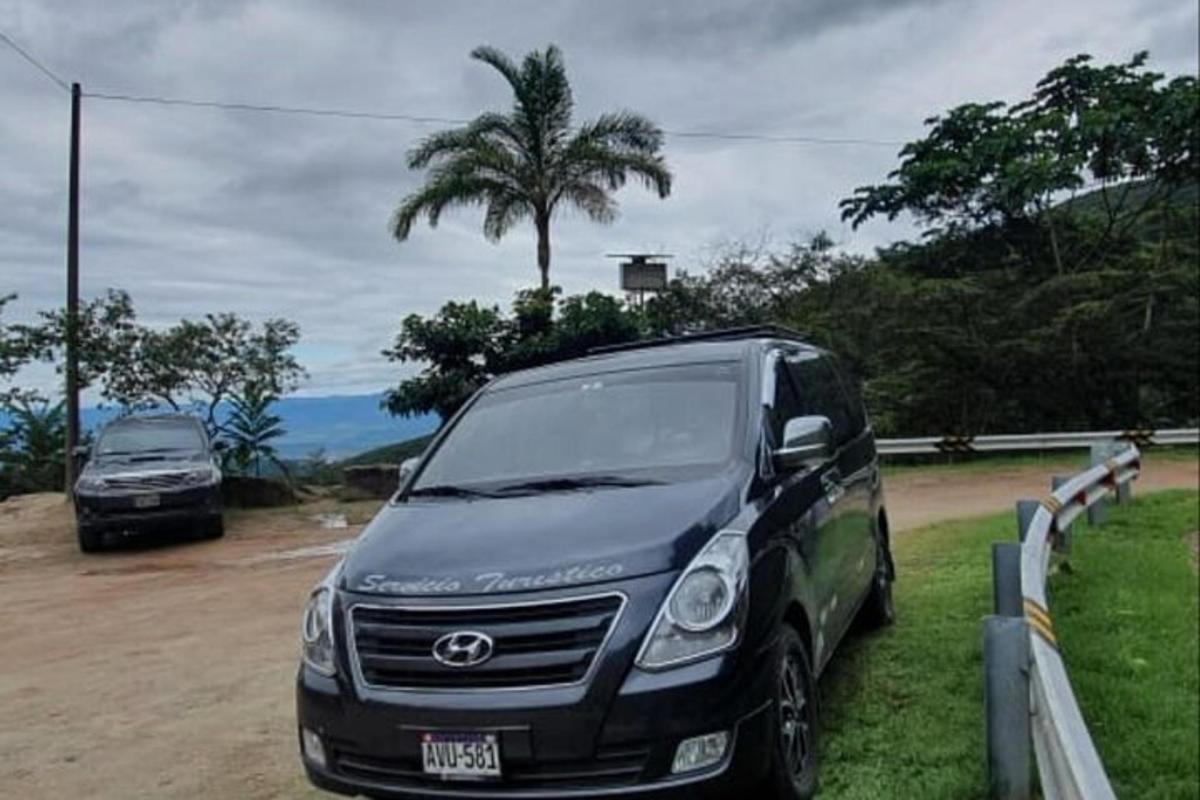 two cars parked on a dirt road with a palm tree
