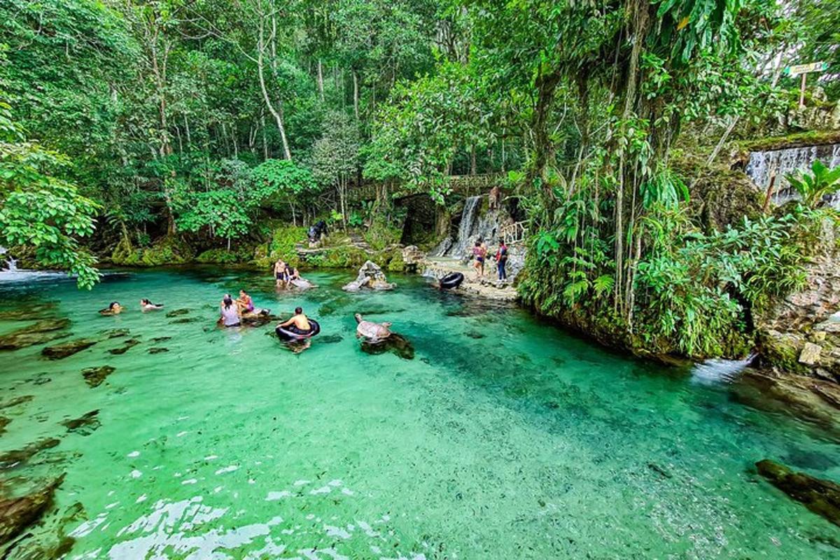 a group of people swimming in a river
