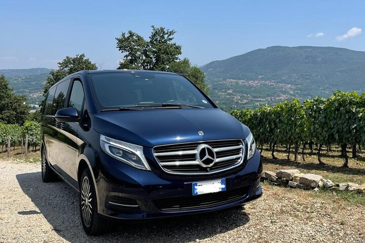 Modrá dodávka Mercedes Benz zaparkovaná vedle vinice