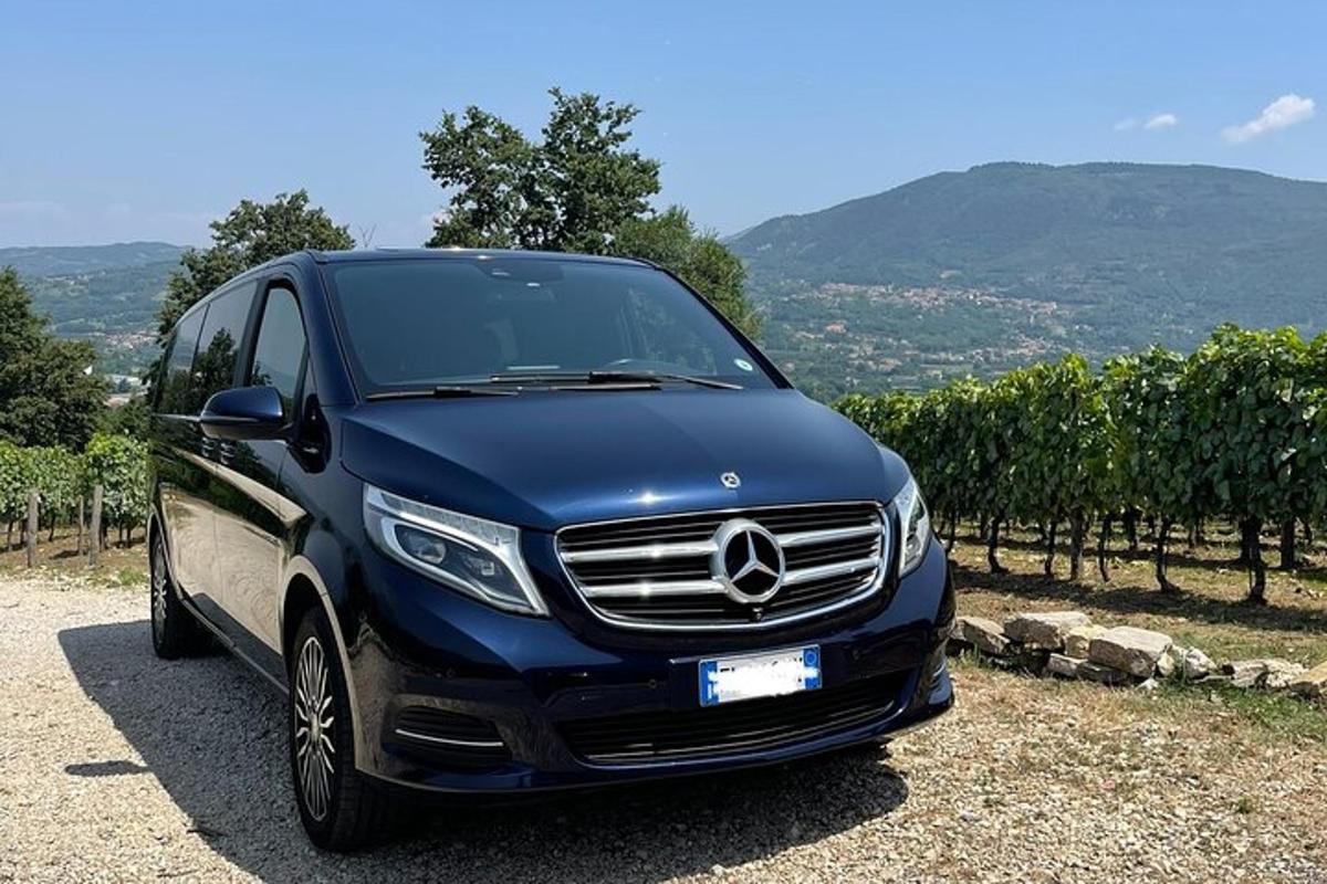Una furgoneta Mercedes Benz azul estacionada junto a un viñedo