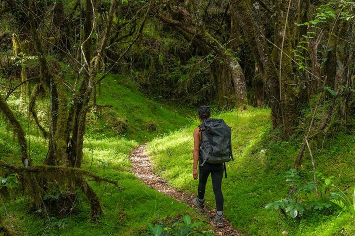 a man with a backpack walking down a trail