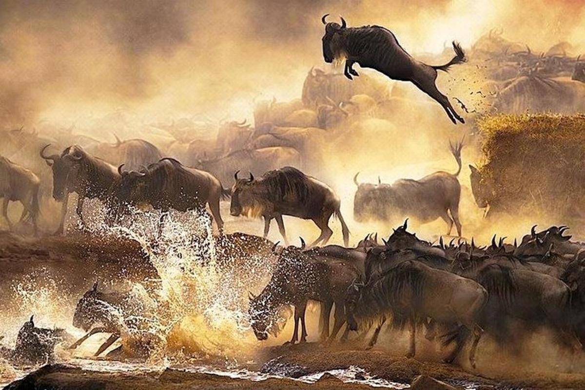 glezna, kurā attēlots gnu bars
