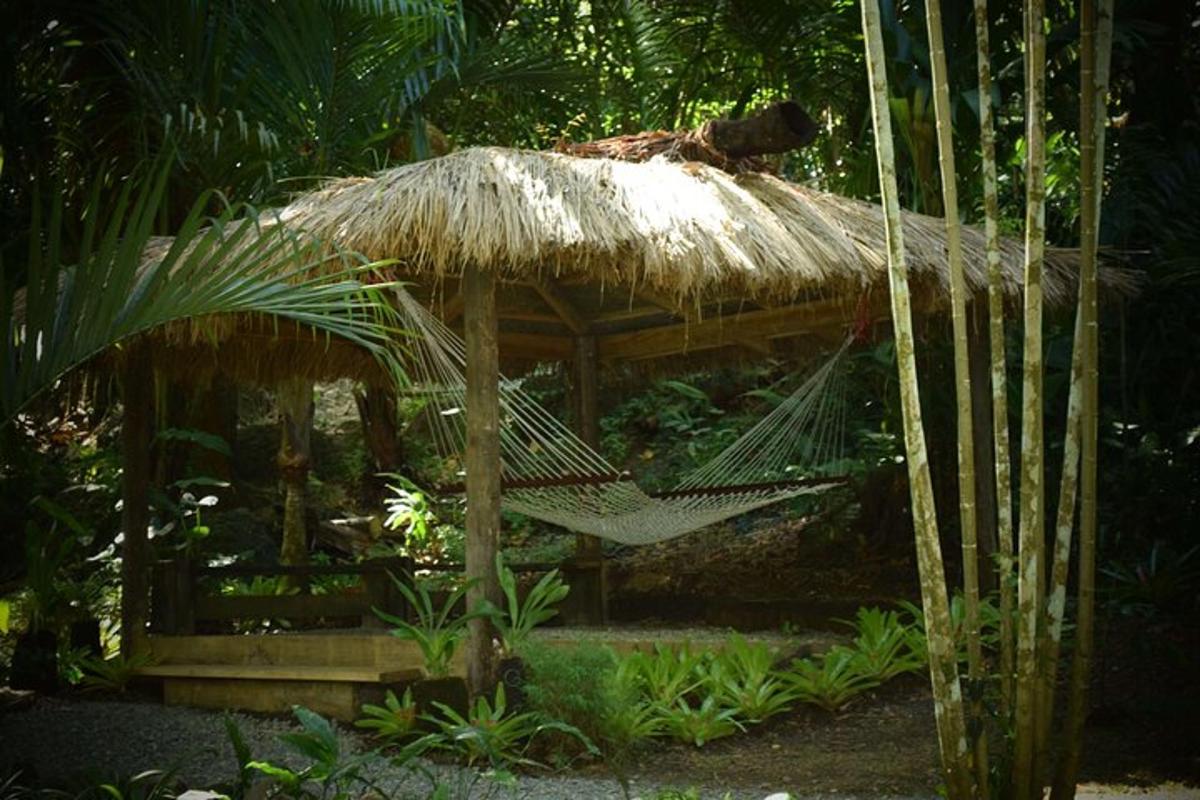 a hammock in a bamboo hut in a garden