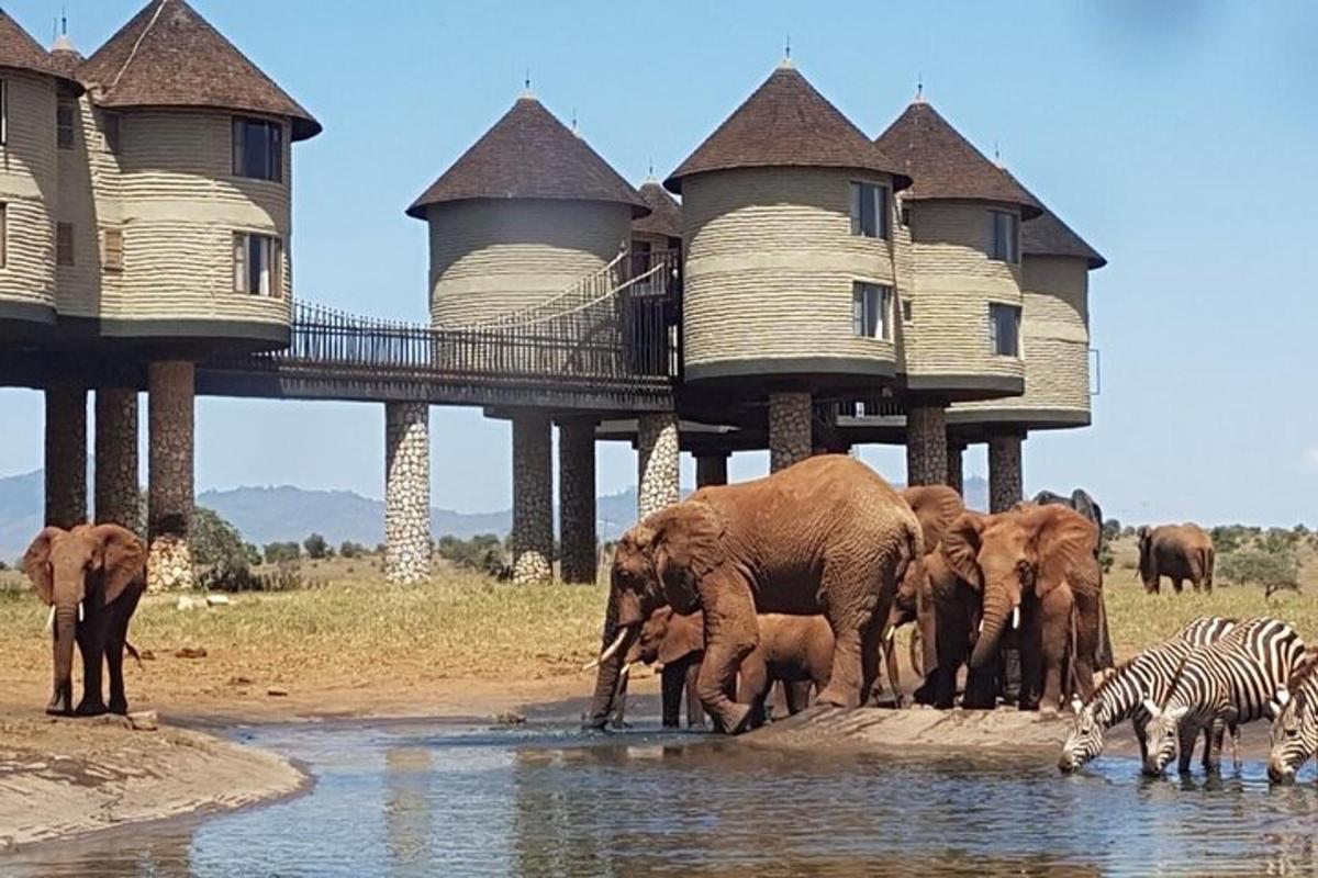 una mandria di elefanti e zebre in piedi nell'acqua