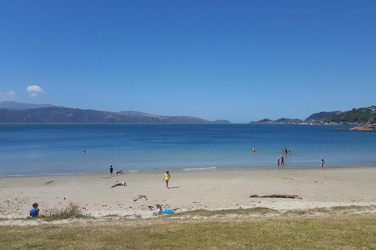 un gruppo di persone su una spiaggia vicino all'acqua
